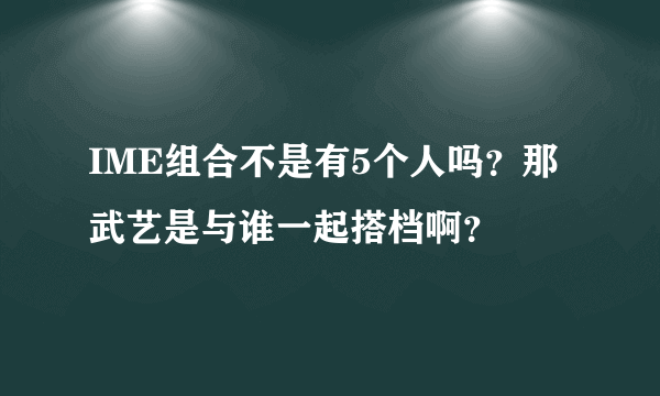 IME组合不是有5个人吗？那武艺是与谁一起搭档啊？