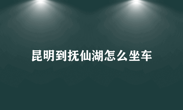 昆明到抚仙湖怎么坐车