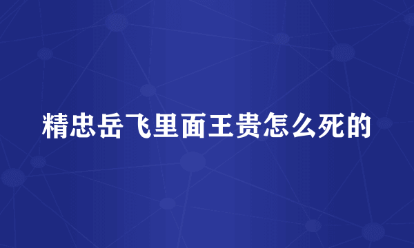 精忠岳飞里面王贵怎么死的