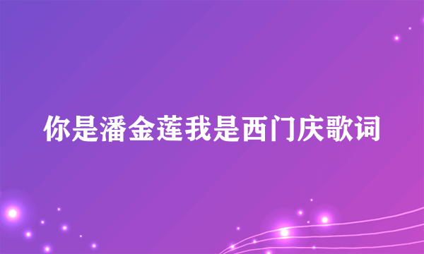 你是潘金莲我是西门庆歌词