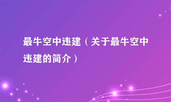 最牛空中违建（关于最牛空中违建的简介）