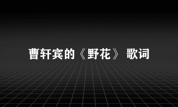 曹轩宾的《野花》 歌词