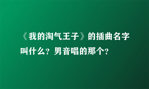 《我的淘气王子》的插曲名字叫什么？男音唱的那个？