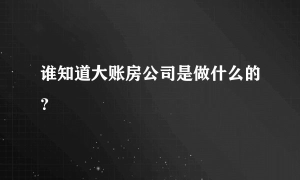 谁知道大账房公司是做什么的？