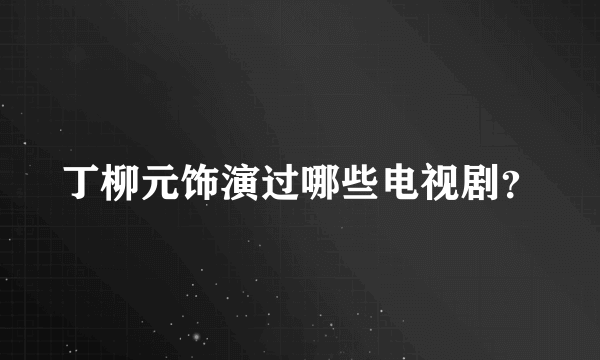 丁柳元饰演过哪些电视剧？