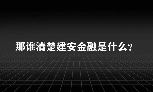 那谁清楚建安金融是什么？