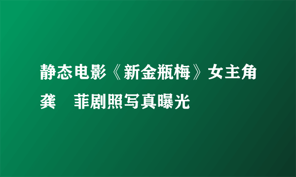 静态电影《新金瓶梅》女主角龚玥菲剧照写真曝光