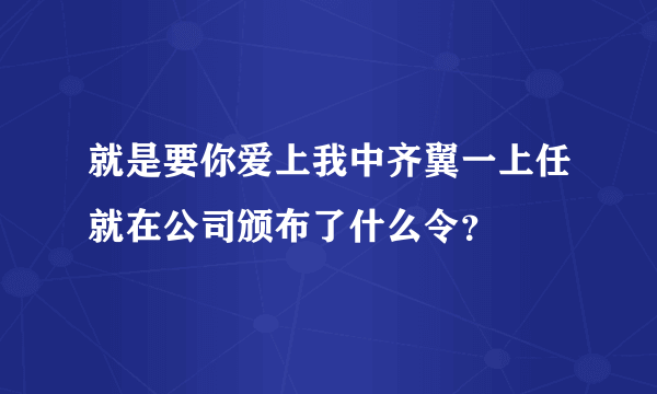 就是要你爱上我中齐翼一上任就在公司颁布了什么令？