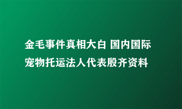 金毛事件真相大白 国内国际宠物托运法人代表殷齐资料