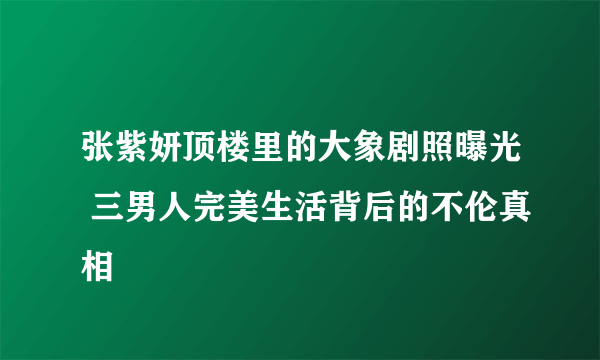 张紫妍顶楼里的大象剧照曝光 三男人完美生活背后的不伦真相