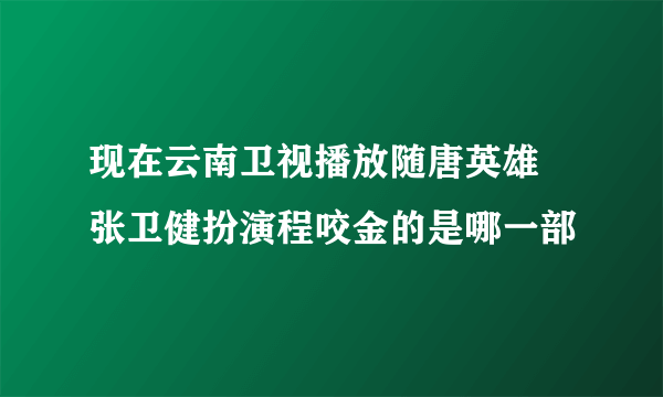 现在云南卫视播放随唐英雄 张卫健扮演程咬金的是哪一部