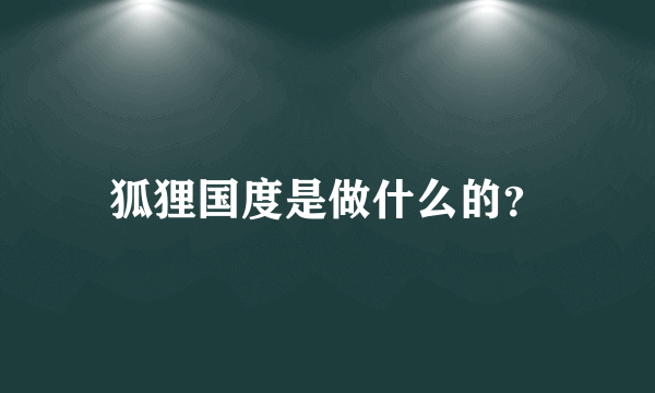 狐狸国度是做什么的？