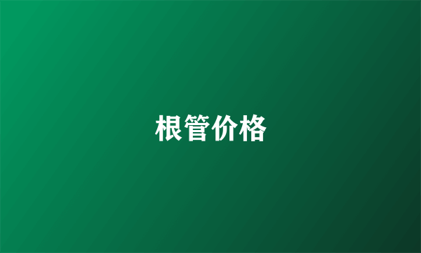 根管价格