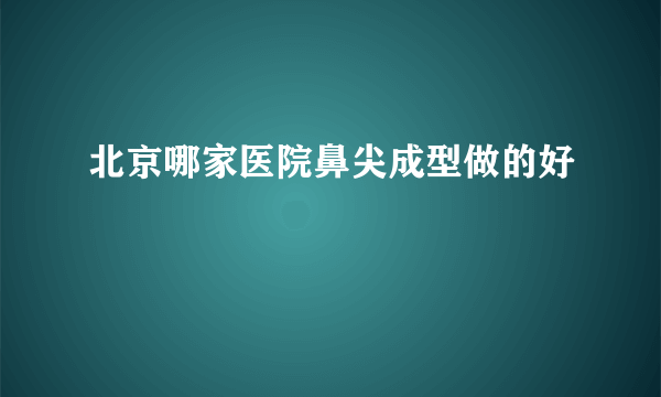 北京哪家医院鼻尖成型做的好