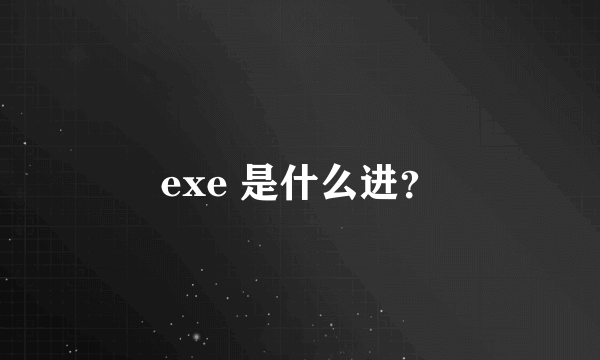 exe 是什么进？