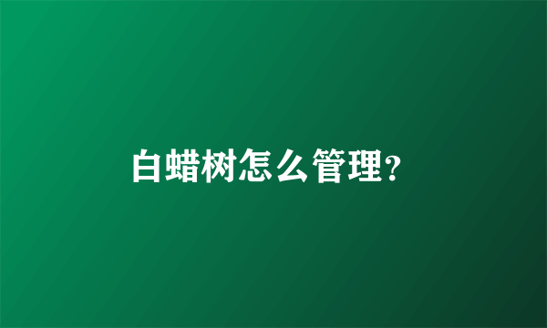 白蜡树怎么管理？