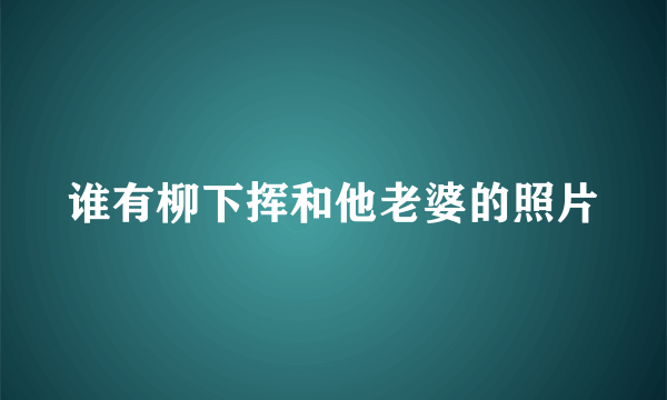 谁有柳下挥和他老婆的照片