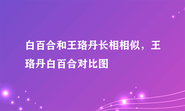 白百合和王珞丹长相相似，王珞丹白百合对比图 