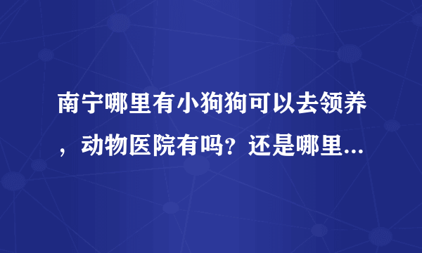 南宁哪里有小狗狗可以去领养，动物医院有吗？还是哪里？不要说那些什么网站，我看了也没什么用，都是卖狗的