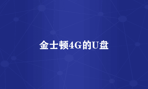 金士顿4G的U盘