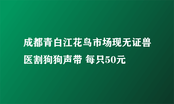 成都青白江花鸟市场现无证兽医割狗狗声带 每只50元