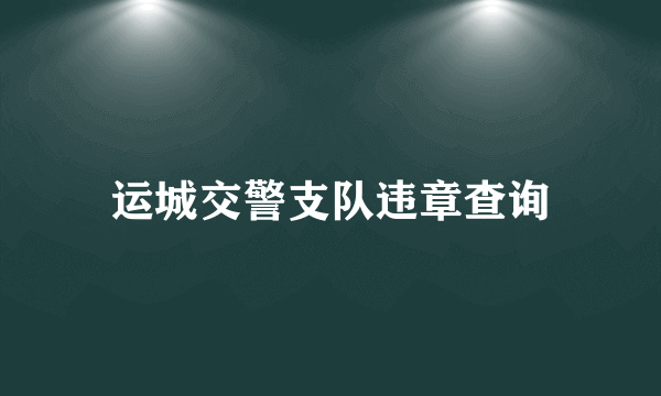 运城交警支队违章查询