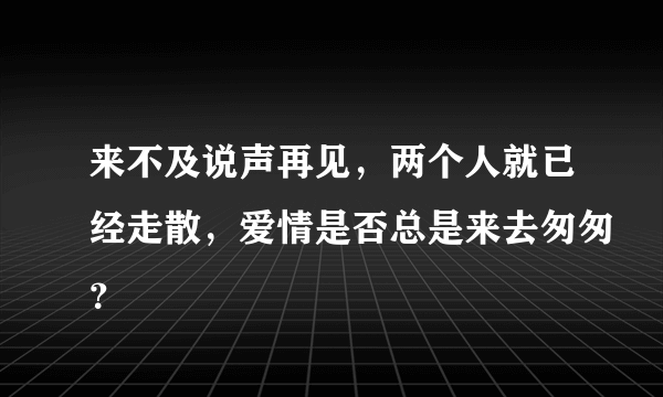 来不及说声再见，两个人就已经走散，爱情是否总是来去匆匆？