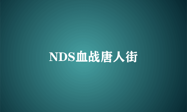 NDS血战唐人街