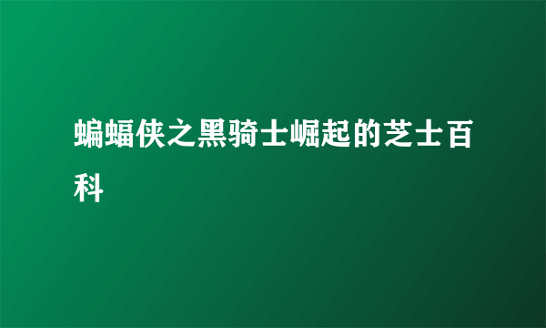 蝙蝠侠之黑骑士崛起的芝士百科