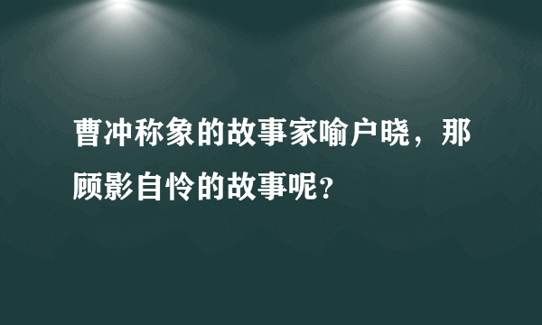 曹冲称象的故事家喻户晓，那顾影自怜的故事呢？