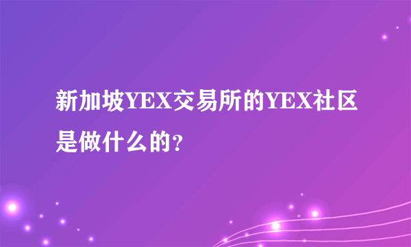 新加坡YEX交易所的YEX社区是做什么的？