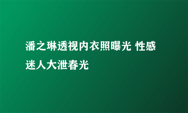 潘之琳透视内衣照曝光 性感迷人大泄春光