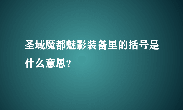 圣域魔都魅影装备里的括号是什么意思？