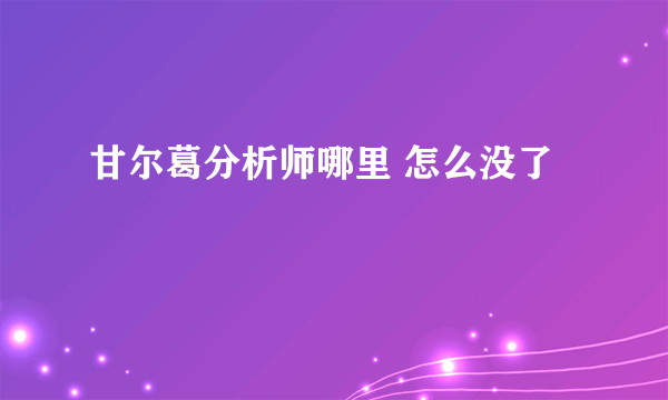 甘尔葛分析师哪里 怎么没了