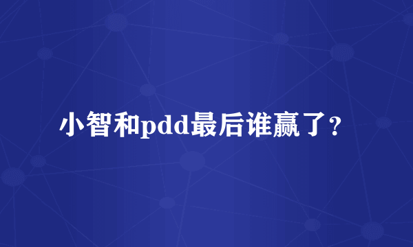 小智和pdd最后谁赢了？