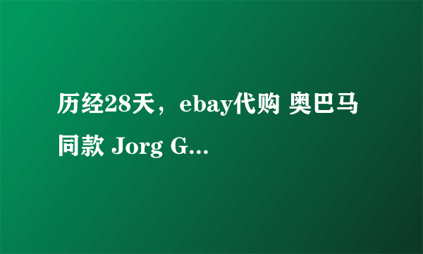 历经28天，ebay代购 奥巴马同款 Jorg Gray 6500 男款腕表