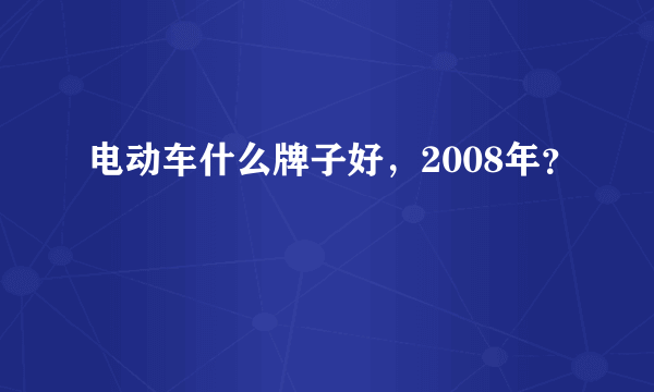 电动车什么牌子好，2008年？