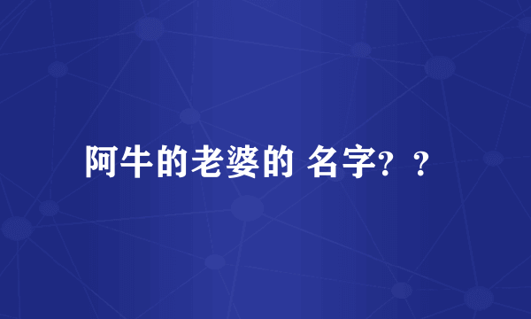 阿牛的老婆的 名字？？