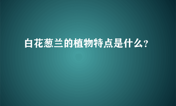 白花葱兰的植物特点是什么？