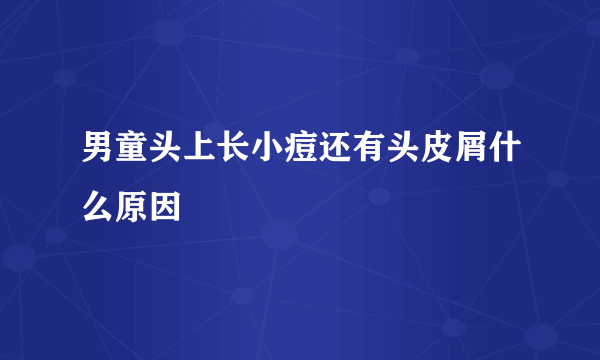 男童头上长小痘还有头皮屑什么原因