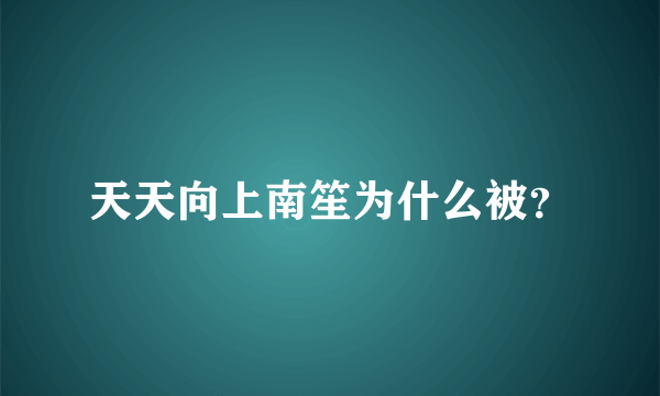 天天向上南笙为什么被？