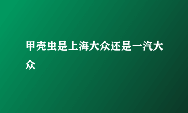 甲壳虫是上海大众还是一汽大众