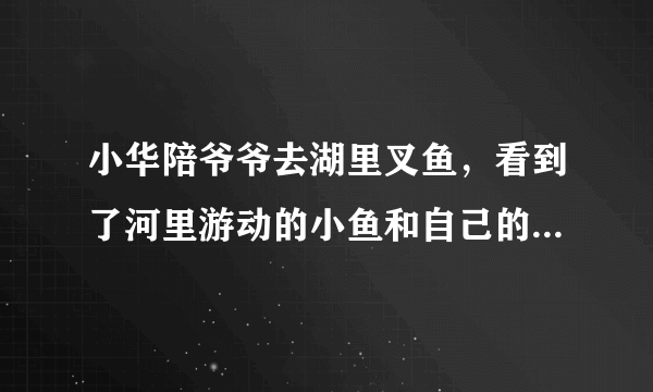 小华陪爷爷去湖里叉鱼，看到了河里游动的小鱼和自己的倒影，小华看到的“鱼”比实际位置______了，这是光的______现象造成的。若小华将电筒光对着看到的“鱼”射入，______（能/不能）照亮鱼。