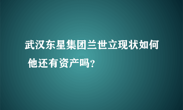 武汉东星集团兰世立现状如何 他还有资产吗？