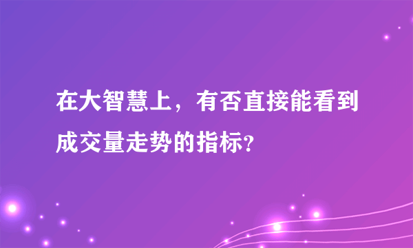 在大智慧上，有否直接能看到成交量走势的指标？