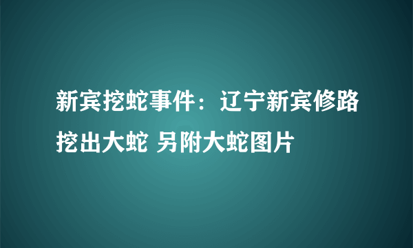 新宾挖蛇事件：辽宁新宾修路挖出大蛇 另附大蛇图片