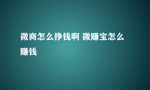 微商怎么挣钱啊 微赚宝怎么赚钱