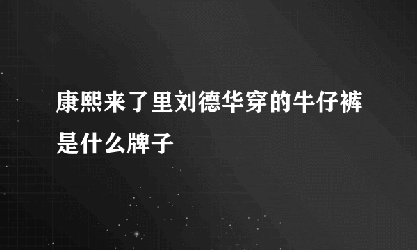 康熙来了里刘德华穿的牛仔裤是什么牌子