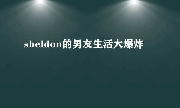 sheldon的男友生活大爆炸