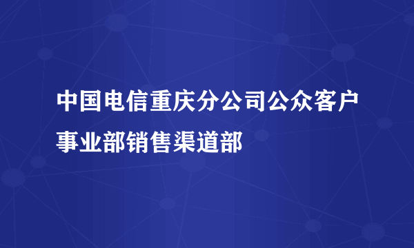 中国电信重庆分公司公众客户事业部销售渠道部